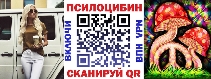 продажа наркотиков Дмитров Галлюциногенные грибы GOLDEN TEACHER