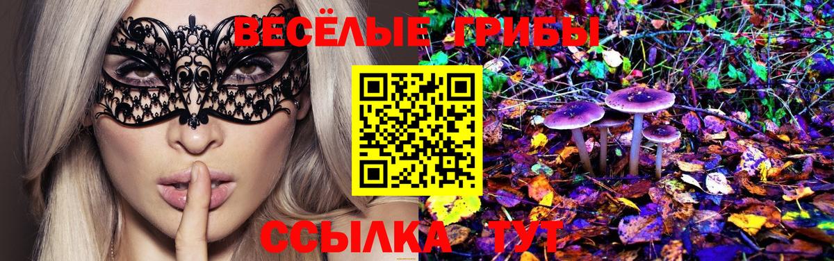 Псилоцибиновые грибы ЛСД Дмитров